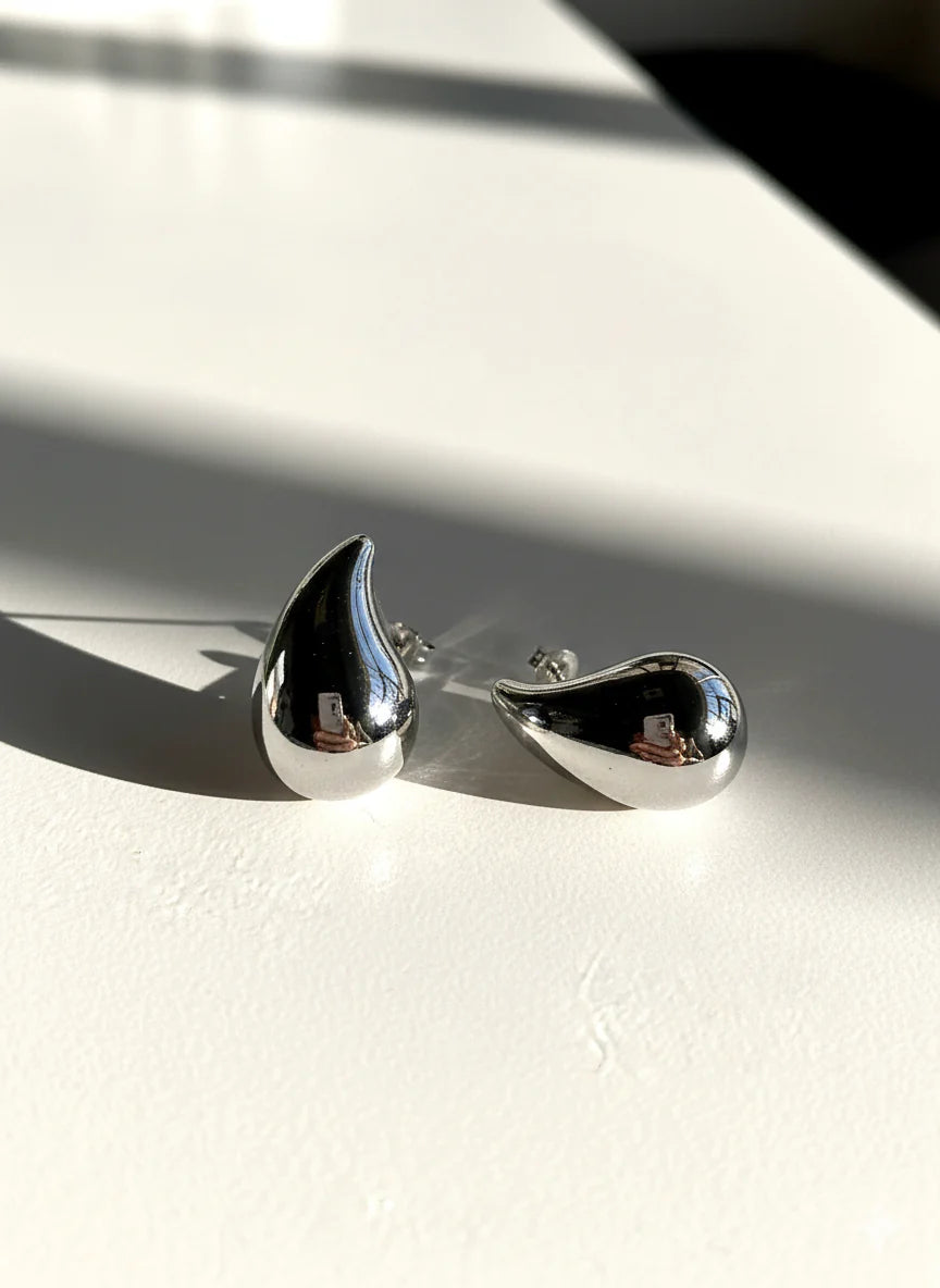 Bottega Çelik Küpe Silver